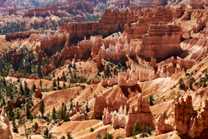 USA Bryce Canyon<br>NIKON D4, 58 mm, 160 ISO,  1/320 sec,  f : 8 
